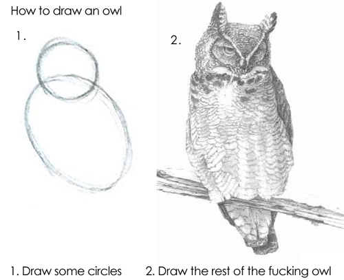 owl